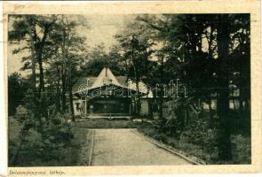 19 db RÉGI történelmi magyar városképes lap, vegyes minőség / 19 old historical Hungarian town-view ...