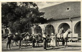 15 db RÉGI történelmi magyar városképes lap, vegyes minőség / 15 old historical Hungarian town-view ...