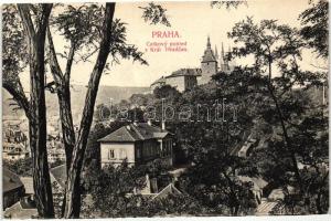 Praha, Prag; - 25 old postcards
