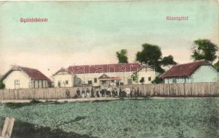 Gyulafehérvár, Alba Iulia; Közvágóhíd, kiadja Schaser Ferenc / slaughterhouse (EK)
