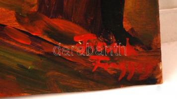 Frank jelzéssel: Kert részlet. Olaj, falemez, sérült, 49×46 cm