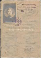 1922 Határszéli uti igazolvány, Hegyeshalom, okmánybélyeggel (2,5 korona), 22x15cm