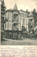 Bártfafürdő, Bardejovské kúpele; Ferencz villa, kiadja Divald Adolf / villa (EK)