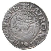 1576K-B Denar Ag "Miksa" (0,45g) T:2,2- Huszár 993., Unger II.: 767.a