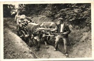 Ökörmező környéke, fahordás; Dr. Peitler Gyula felvétele, a Magyar Turista Egyesület kiadása / wood transportation, rural Carpathian Ukraine