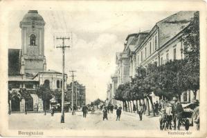 Beregszász, Berehove; Verbőczy tér, zsinagóga. Haladás nyomda könyv- és papírkereskedés kiadása / square, synagogue