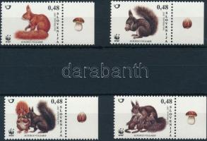 WWF: Európai vörös mókus sor, WWF: European red squirrel set