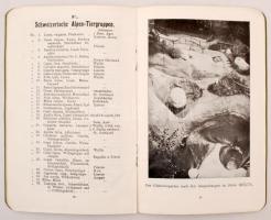 Mali Losinj, Lussinpiccolo; Cigale (b)