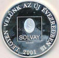 2001. "Solvay Pharma - Legyen velünk az új évtizedben is" Ag emlékérem (31,25g/0.999/42,5mm) T:PP ujjlenyomatos