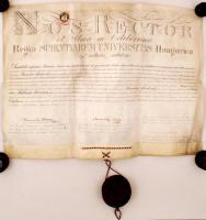 1881 Orvosi diploma, pergamenen, jó állapotú fa tokos függő pecséttel, jó állapotban. / 1881 Doctor&quot;s diploma