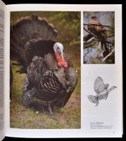 Stalbrand, Kerstin - Papp Márió (szerk.): Nagy Vadászkönyv. Budapest, É.N., GEOHOLDING Rt.- SKO Lap-...