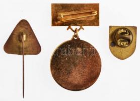 ~1970-1980. "5 éves Törzsgárda MÉH" zománcozott fém jelvény (30mm) + DN "Ikarus törzs...