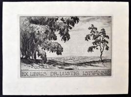 Adolf Kunst (1882-1937): Ex libris Dr. Lustig Istvánné. Rézkarc, papír, jelzett a karcon, 9×13 cm