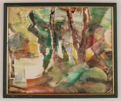 Iglay József (1905-1980): Eső után, akvarell, papír, jelzett, üvegezett fa keretben, 33,5×40 cm