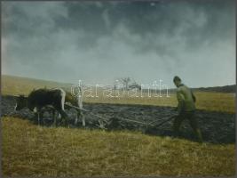 cca 1928 Kerny István(1879-1963): Tavaszi szántás, vegyi színezésű vintage fotóművészeti alkotás, pecséttel jelzett, 16x22 cm