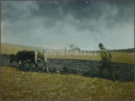 cca 1928 Kerny István(1879-1963): Tavaszi szántás, vegyi színezésű vintage fotóművészeti alkotás, pecséttel jelzett, 16x22 cm