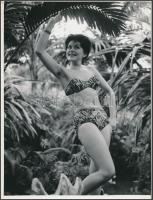 Dögös kis fürdőruci az 1960-as évek végéről, vintage divatfotó, 24x18 cm