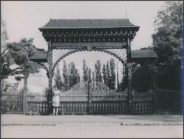 cca 1950 Győri városképek, 4 db pecséttel jelzett vintage fotó Korschelt Miklós(1900-1982) hagyatéká...