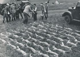 cca 1960 Teríték I-II., 2 db jelzés nélküli vintage fotó, 16,5x23 cm