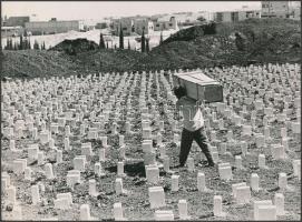 cca 1960 Végső nyughely keresése, vintage fotó, sarkain törésvonal, 18x24 cm