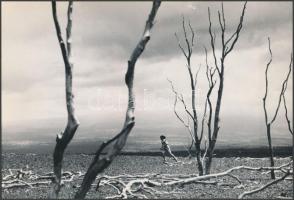 cca 1968 Menekülés a városból, vintage fotó, 16,5x24 cm