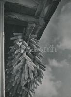 cca 1936 Osoha László: Kukorica szárítás, pecséttel jelzett vintage fotóművészeti alkotás, 23x17 cm