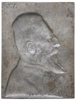 Farkas Zoltán (1900-1945) 1921. "Gróf Apponyi Albert" szürkefém plakett (110x87mm) T:2 /
...