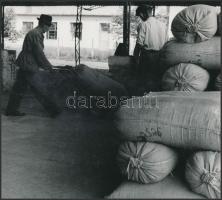 1964 Mihályi Gyula feliratozott vintage fotóművészeti alkotása, 16x17,5 cm