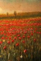 Zorkóczy jelzéssel: Pipacs mező. Olaj, vászon, 76×119 cm