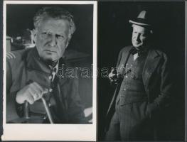 cca 1950 Somlay Artúr (1883-1951) színész 8 db jelzés nélküli vintage fotója Kotnyek Antal (1921-1990) fotóriporter hagyatékából, 12x18 cm