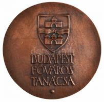 Asszonyi Tamás (1942-) 1986. "Újjáépült a Budai Sikló / Budapest Főváros Tanácsa" kétoldal...