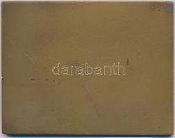 Madarassy Walter (1909-1994) 1973. "Budapest 1873-1973" Br emlékplakett (101x78mm)