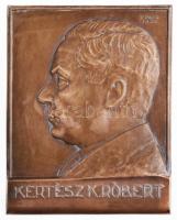 Zombori Kiss István (1902-1953) 1932. "Kertész K. Róbert" Br lemezplakett (90x113,5mm) T:2