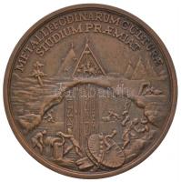 DN "Selmecbányai Bányászati Akadémia tanulmányi éremsorozat" darabja, Matthäus Donner emlé...