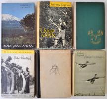 Széchényi Zsigmond 6. db könyve. 1. Afrikai tábortüzek. Budapest, 1959, Szépirodalmi Könyvkiadó. 2. Nahar. Budapest, 1958, Szépirodalmi Könyvkiadó. 3. Alaszkában vadásztam. Budapest, 1960, Szépirodalmi Könyvkiadó. Világjáró sorozat. 4. Denaturált Afrika. Budapest, 1968, Szépirodalmi Könyvkiadó. 5. Ahogy elkezdődött. Budapest, 1961, Szépirodalmi Könyvkiadó. 6. Ünnepnapok. Budapest, 1961, Szépirodalmi Könyvkiadó. Kiadói félvászon kiadói papírborító. A Nahar és a Alaszkában vadásztam kiadói papírborítója hiányzik.  A könyvek példányonként változó állapotban vannak. A lapszélek foltosak, piszkosak. A papírborítók itt-ott szakadtak, foltosak.