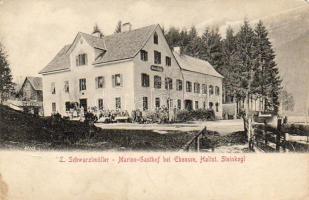 Steinkogl Gasthof (EB)