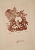 Mécs László: Anya kell! Versek lányokról és anyákról.
(Bp. 1943.) Athenaeum. 90 l. 8 t. (színes). A...