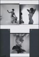 cca 1983 Rózsa rózsája, 7 db finoman erotikus fénykép, korabeli negatívokról készült modern nagyítás...