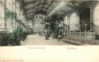 Karlovy Vary, Karlsbad, Sprudel Colonnade, Verlag Hermann Poy / spa hall interior (EK)