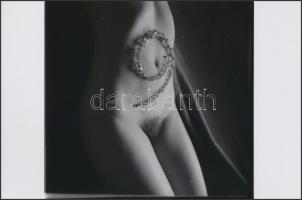 cca 1986 Kényeztető csecsebecsék, finoman erotikus fényképek, 13 db korabeli negatívról készült mode...