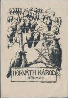 Nagy Sándor (1869-1950): Horváth Károly könyve, ex libris, klisé, papír, jelzett a klisén, 13×9 cm
