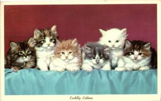 39 db MODERN motívumlap, változó minőségben; macskák / 39 modern motive cards, mixed quality; cats