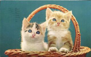 39 db MODERN motívumlap, változó minőségben; macskák / 39 modern motive cards, mixed quality; cats