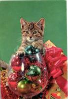 42 db MODERN motívumlap, változó minőségben; macskák / 42 modern motive cards, mixed quality; cats