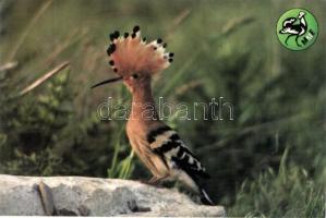 26 db MODERN motívumlap; madarak, közte 3 db Carte Maximum / 26 modern motive cards; birds