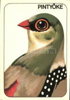 26 db MODERN motívumlap; madarak, közte 3 db Carte Maximum / 26 modern motive cards; birds