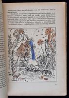 Komlós Aladár és Vihar Béla (szerk.): A kincsőrző fa. Zsidó mesék és elbeszélések. Vadász Endre rajz...