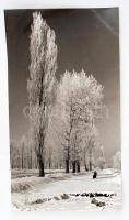 cca 1960 Dezső Pál (Kecskemét): Téli táj, kiállítási emlékjeggyel, feliratozott vintage fotóművészeti alkotás, 39x22 cm