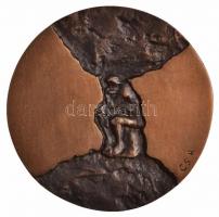 Csíkszentmihályi Róbert (1940-) 1973. "Eötvös Loránd-díj" Br érem eredeti tokban (66mm) T:...