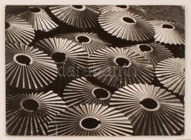 cca 1965 Medgyesi László (Kecskemét) feliratozott vintage fotóművészeti alkotása, felületén kasírozási hiba, 29x40 cm